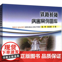 铁路桥隧病害案例图库 杨辉,涂志诚 编 交通/运输专业科技 正版图书籍 中国铁道出版社有限公司