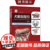 犬解剖指引 第8版八版 犬局部解剖学彩色图谱 霍华德·E.埃文斯主编 李剑主译 犬解剖学9787571718602