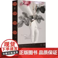 红唇 (阿根廷)曼努埃尔·普伊格 著 李毓琦 译 现代/当代文学文学 正版图书籍 广西师范大学出版社