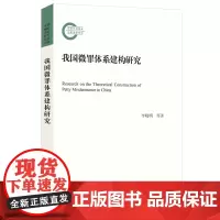 我国微罪体系建构研究