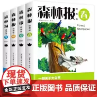森林报全4册插图版春夏秋冬 一部关于大自然四季变化百科全书 比安基著完整版四五六年级小学生老师读课外书籍名著阅读书籍
