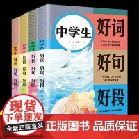 中学生好词好句好段全4册初中生作文书大全中考满分作文中考作文素材模板作文书初中版中学生作文好词好句好段大全