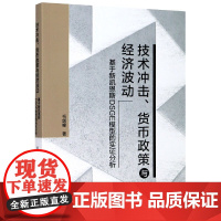 技术冲击货币政策与经济波动(基于新凯恩斯DSGE模型的实证分析)