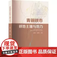 青铜峡市耕地土壤与地力 白建忠,柏晓东 编 农业基础科学专业科技 正版图书籍 阳光出版社