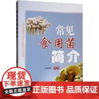 常见食用菌简介 才晓玲 编 生命科学/生物学专业科技 正版图书籍 中国农业大学出版社