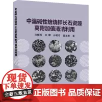 中温碱性焙烧钾长石资源高附加值清洁利用 刘佳囡,林鹏,徐君君 等 著 冶金工业专业科技 正版图书籍 冶金工业出版社