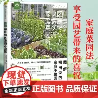 图解福田俊的家庭小菜园 手把手教你种有机蔬菜 果蔬创意混栽自制肥料 庭院阳台蔬菜种植书籍技术大全新手种菜入门教程漫画书正