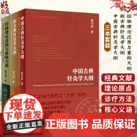 [全套3册]经脉理论还原与重构大纲+新古典针灸学大纲+中国古典针灸学大纲 黄龙祥 人民卫生出版社 实验针灸表面解剖学针灸