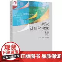 高级计量经济学:上册(第二版)