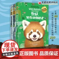 你好,野生动物朋友4(美绘精装版)“动物小说之父”西顿给青少年的野生动物百科全书9787513676335 科普经典