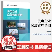 店 供电企业应急管理基础 以实际操作技能为主线 基于供电企业应急能力建设要求 电力行业应急系列丛书