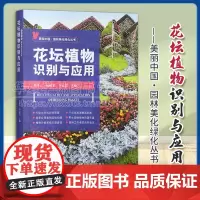 正版 花坛植物识别与应用 美丽中国·园林美化绿化丛书 刘冬云 中国农业出版社 9787109316072
