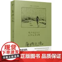 罗伯特·瓦尔泽作品系列-唐纳兄妹