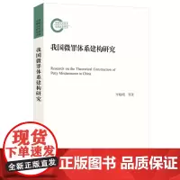 我国微罪体系建构研究 李晓明 北京大学店正版