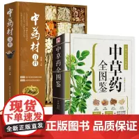 正版中国中草药实用图鉴+中药材百科全2册图解中草药材中药配方大全中药大全中药材图谱中医养生自学入门中草药材图鉴大全书籍