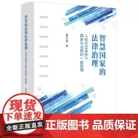 智慧国家的法律治理