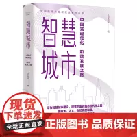 智慧城市:中国式现代化·和谐发展之路 中国道路发展新理念系列丛书