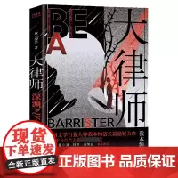 大律师:深渊之下 作者我本纯洁长篇悬疑力作 何弘 管潮平 阿菩 何常在联合 侦探推理小说