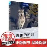 野狼的回归 美国灰狼的生死轮回 (美)布伦达·彼得森 著 蒋志刚 等 译 动物专业科技 正版图书籍 上海科学技术出版社