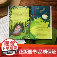 蜘蛛和苍蝇的幽默故事 第二辑 (从天而降的惊喜+欢迎来到昆虫天堂)(全2册)