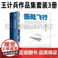 王计兵作品集套装3册 我笨拙地爱着这个世界 赶时间的人 低处飞行 (外卖诗人王计兵作品集)