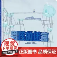 男孩的迷宫 (波)亚历山德拉·阿勒泰莫夫斯卡 著 体育运动(新)文教 正版图书籍 花山文艺出版社