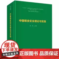 中国粮食安全理论与实践