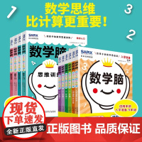 日本光辉教育数学脑 给孩子的数学思维课第一二辑全10册 数字图形入门特训数学思维比计算更重要让孩子爱上学数学益智开发正版