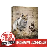 [正版]一匹狼的江湖 儿童文学动物小说6-12岁 李微漪 著 重返狼群作者新作 图文动物生态人性之书给人与爱新年礼物 三