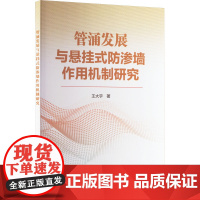 管涌发展与悬挂式防渗墙作用机制研究 王大宇 著 建筑/水利(新)专业科技 正版图书籍 中国水利水电出版社