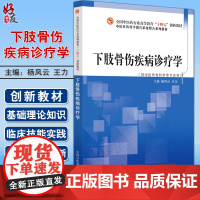 下肢骨伤疾病诊疗学 杨凤云 王力 全国中医药行业高等教育十四五创新教材 供中医骨伤科学等专业用 中国中医药出版社9787