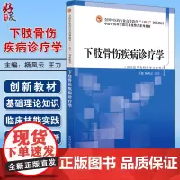 下肢骨伤疾病诊疗学 杨凤云 王力 全国中医药行业高等教育十四五创新教材 供中医骨伤科学等专业用 中国中医药出版社9787