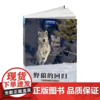 野狼的回归:美国灰狼的生死轮回(科学新视角丛书)