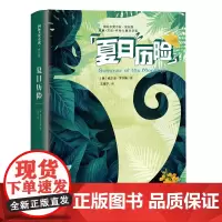 夏日历险记 大奖小说成长版 二三四五六年级小学生课外阅读书籍 6-12儿童故事书籍 儿童成长励志故事书 新蕾出版社