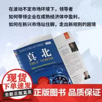 领导心法系列:真北