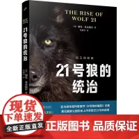 [余杭新华正版图书]21号狼的统治/狼王四部曲 瑞克·麦金提尔著