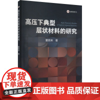 高压下典型层状材料的研究 董恩来 著 工业技术其它专业科技 正版图书籍 冶金工业出版社