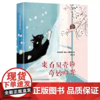 精装绘本来自贝壳的奇妙时光3-6岁幼儿园早教启蒙认知故事绘本亲子图画书籍