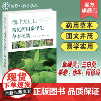 湖北大别山常见药用多年生草本植物 鄂东大别山地区常见药用多年生草本植物 药用草本 草本植物 多年生草本植物 植物爱好者参