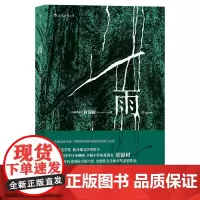 雨 黄锦树 郁达夫奖马来西亚华语金鼎奖图书奖获奖作品 短篇小说作品集文学书籍