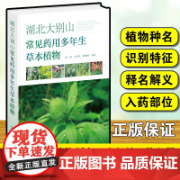 湖北大别山常见药用多年生草本植物 植物种名识别特征释名解义入药部位性味功效经方验方应用例证中成药应用例证现代临床应用书籍