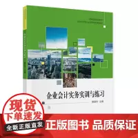 企业会计实务实训与练习