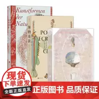 复古艺术馆·海洋生物图鉴(3册套装):贝壳之美+海物奇谈+自然的艺术形态