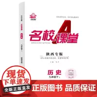 2024春陕西专版名校课堂历史九年级下册人教版同步练 测试题9年级复习辅导资料初三必刷历史