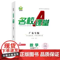 2024春广东 专版名校课堂数学七年级下册人教版同步练 测试题7年级复习辅导资料初一必刷数学