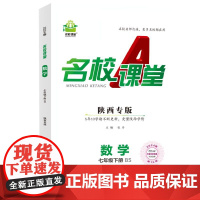 2024春陕西专版名校课堂数学七年级下册北师版同步练 测试题7年级复习辅导资料初一必刷数学