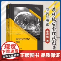 正版 非传统安全理论图景 余潇枫 著 商务印书馆 9787100232029