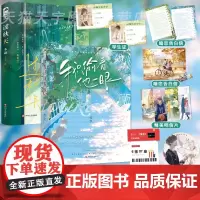 正版 过秋天/我只偷看他一眼 套装2册 木甜/枝玖 青春文学现代爱情校园暗恋文be虐恋意难平甜虐伤感言情小说实体书籍
