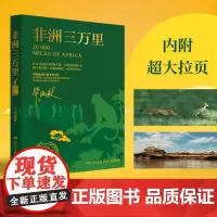 正版 非洲三万里 2024 毕淑敏创作的旅行主题书 对非洲风土人情的亲身体验和实地考察现当代文学随笔作品集书籍湖南文