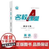 2024春湖北专版名校课堂英语九年级下册人教版同步练 测试题9年级复习辅导资料初三必刷英语